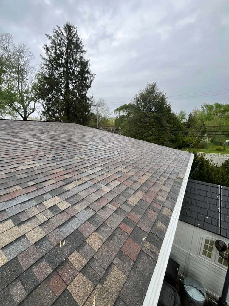 Slope of multi-tone architectural shingles running to a white gutter, with trees and an overcast sky beyond