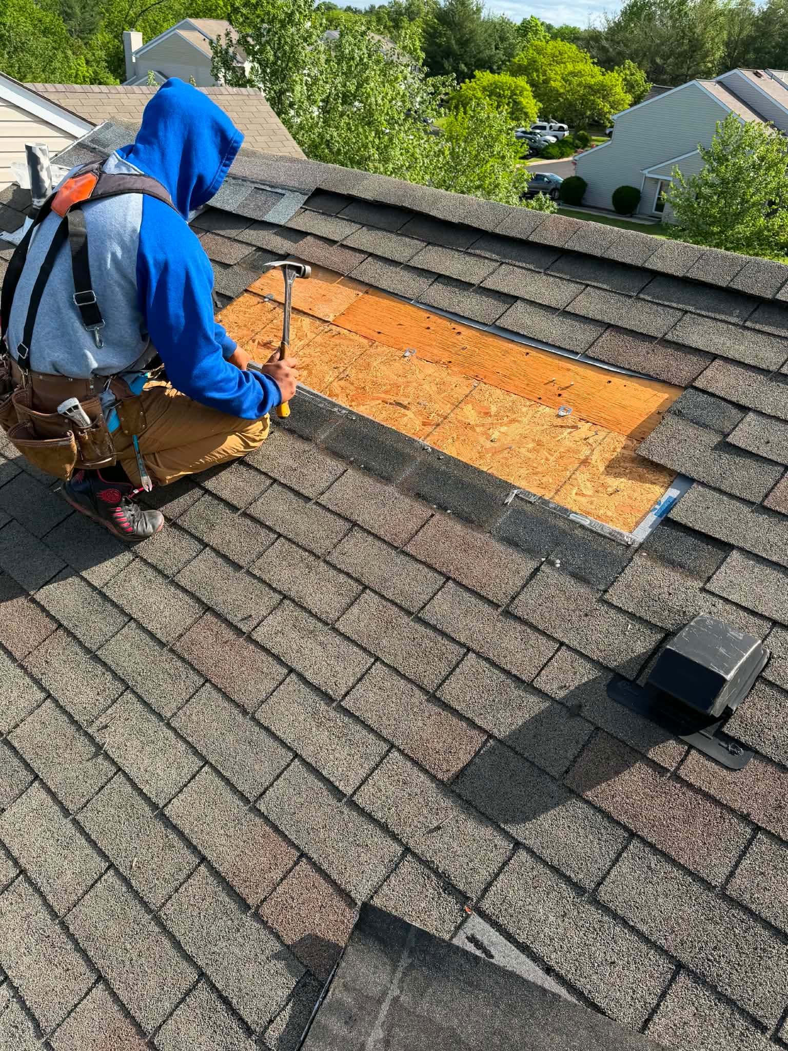 Roofer wearing a safety harness, kneeling on a shingle roof and nailing a new sheet of decking into a cut-out section