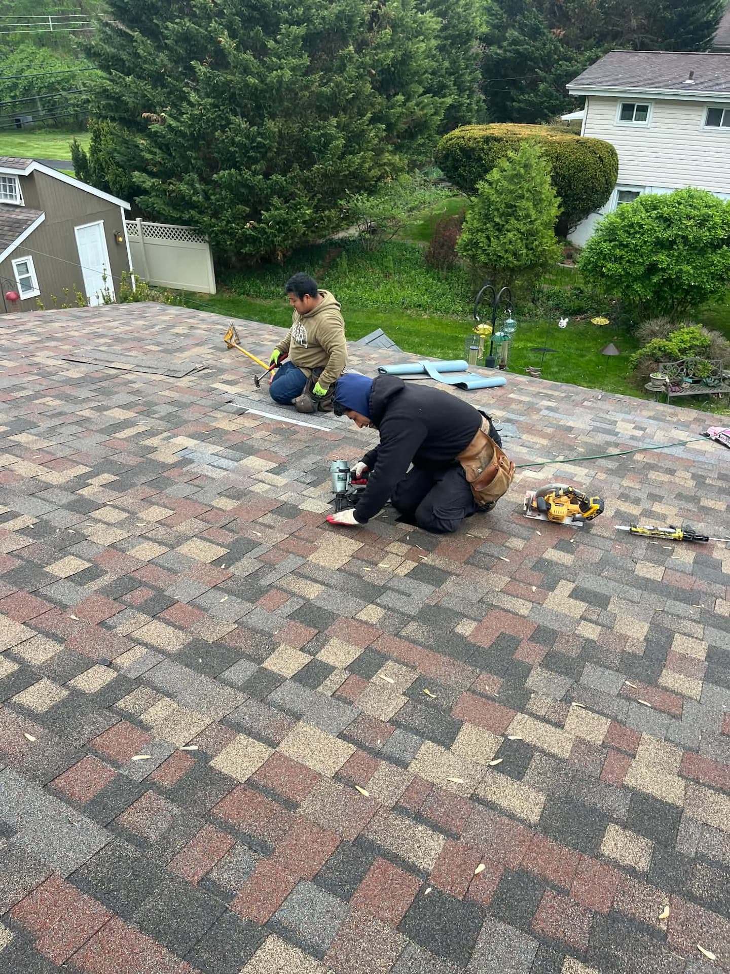 Two roofers working side by side on a shingle roof, one running a coil nailer and one with a hammer, tool belts and a circular saw beside them